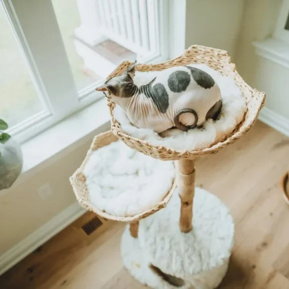 Custom Real Wood Cat Tree - Picture 2 of 10